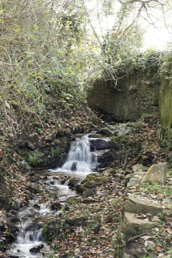 Ribeira Dos Marinheiros Azul Διαμέρισμα Σίντρα Εξωτερικό φωτογραφία